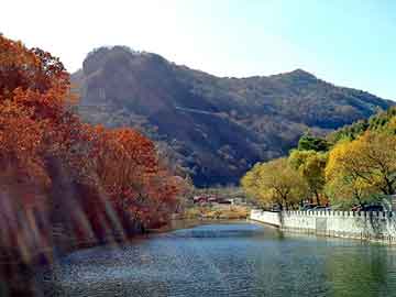 新澳天天开奖资料大全旅游团，复仇天使遇到爱